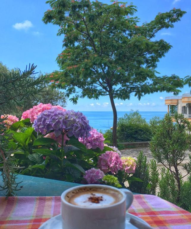 See View Apartment بودفا المظهر الخارجي الصورة